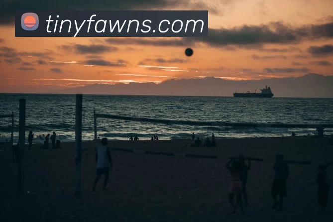 澳门威尼斯官网发展历程